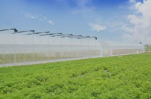 农场最新爆料,最新爆料揭示农业产业变革新动向 第3张 农场最新爆料,最新爆料揭示农业产业变革新动向 第3张