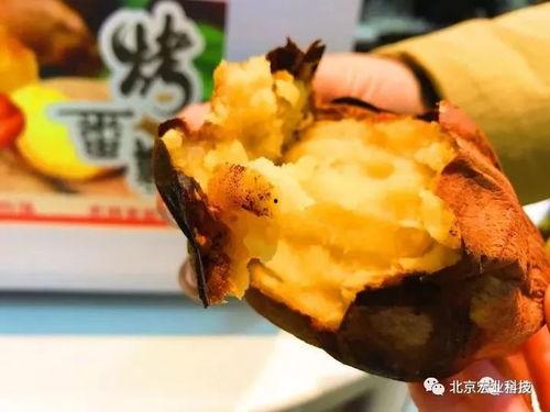 太原金虎最新爆料,揭秘金虎集团全新战略布局与市场动向